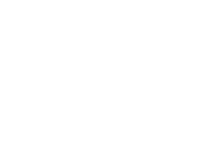 SGE_Wordmark-1CLR-Wht-RGB